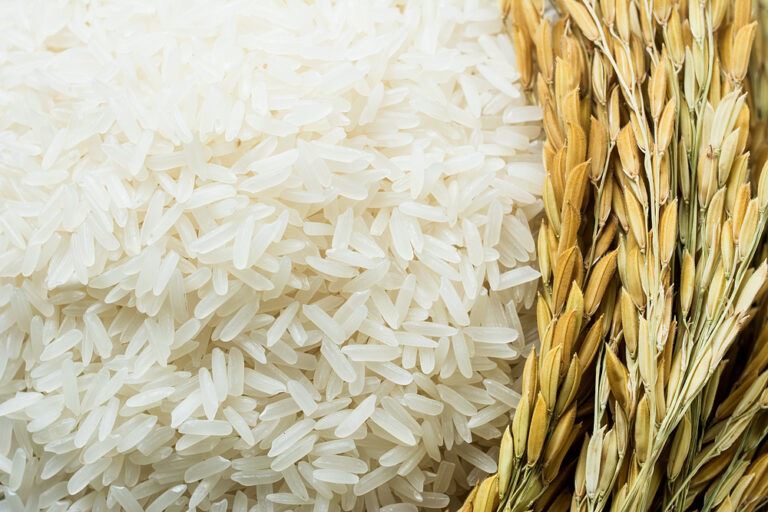 Os impactos na produção de arroz em tempos de pandemia