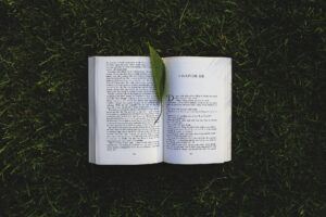 5 livros sobre sustentabilidade para você praticar um futuro sustentável