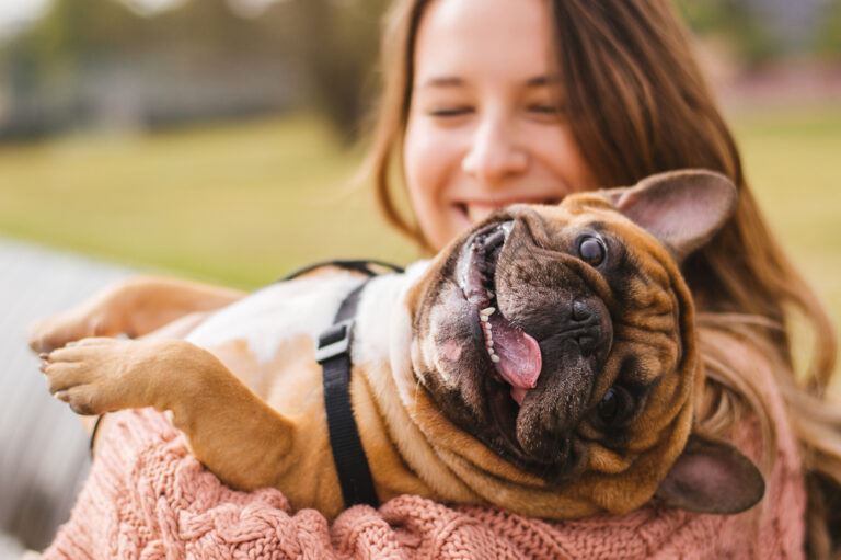 A importância da segurança alimentar para os pets