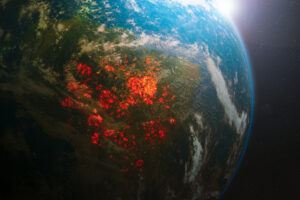 Queimadas: o que fazer para ajudar o meio ambiente?