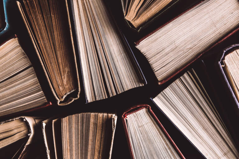 Biblioteca Facens promove Sarau Literário inspirado na escritora Toni Morrison