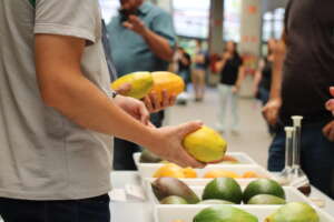 Veja como foi a 1ª Feira Agrícola realizada pela Facens