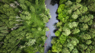 Florestas Inteligentes 2025: conheça as soluções sustentáveis para a Amazônia e a Mata Atlântica