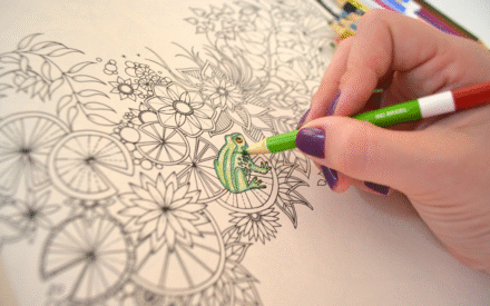 Livros de colorir promovem conexão com a infância e bem-estar em mundo acelerado, diz especialista