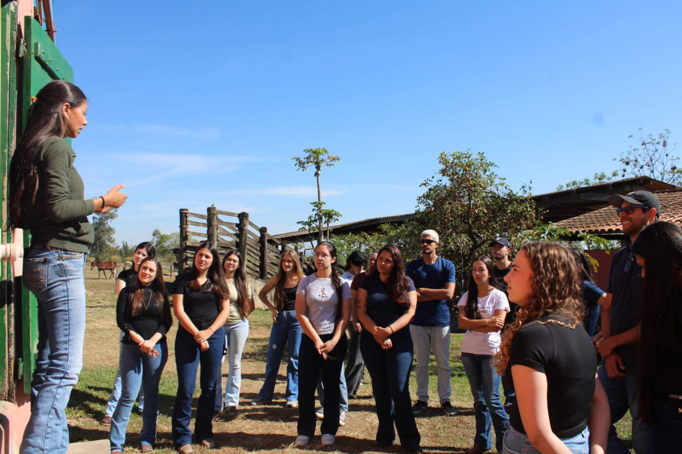 Estudantes de Medicina Veterinária Facens realizam aula prática na Universidade do Cavalo