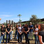 Estudantes de Medicina Veterinária Facens realizam aula prática na Universidade do Cavalo