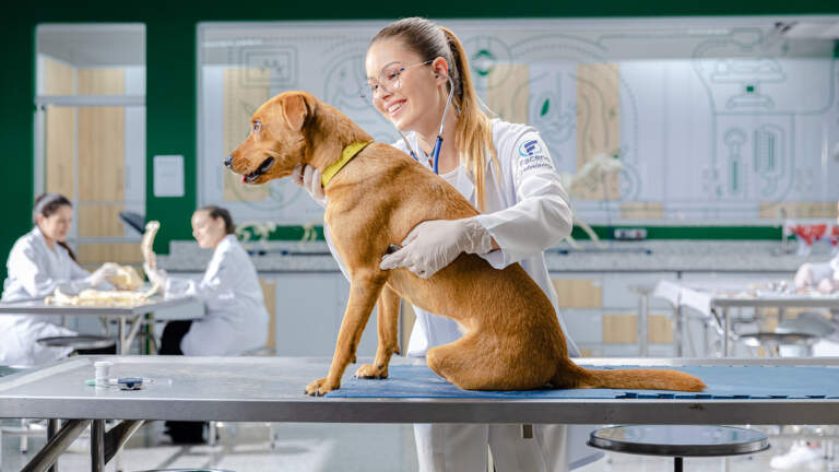 Dia do Médico Veterinário