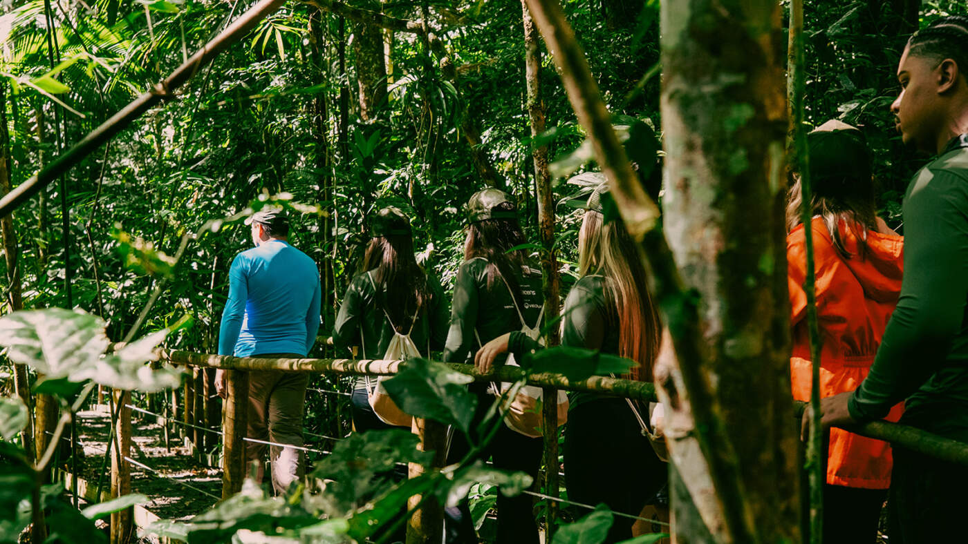 Florestas Inteligentes 2025: inovação que transforma comunidades na Mata Atlântica e Amazônia