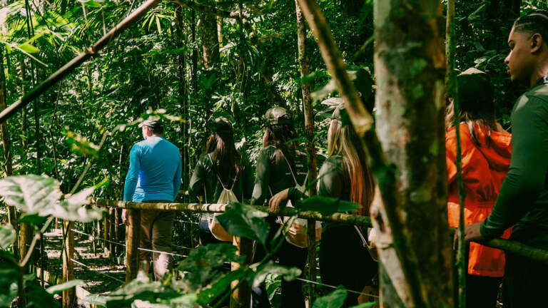 Florestas Inteligentes 2025: inovação que transforma comunidades na Mata Atlântica e Amazônia