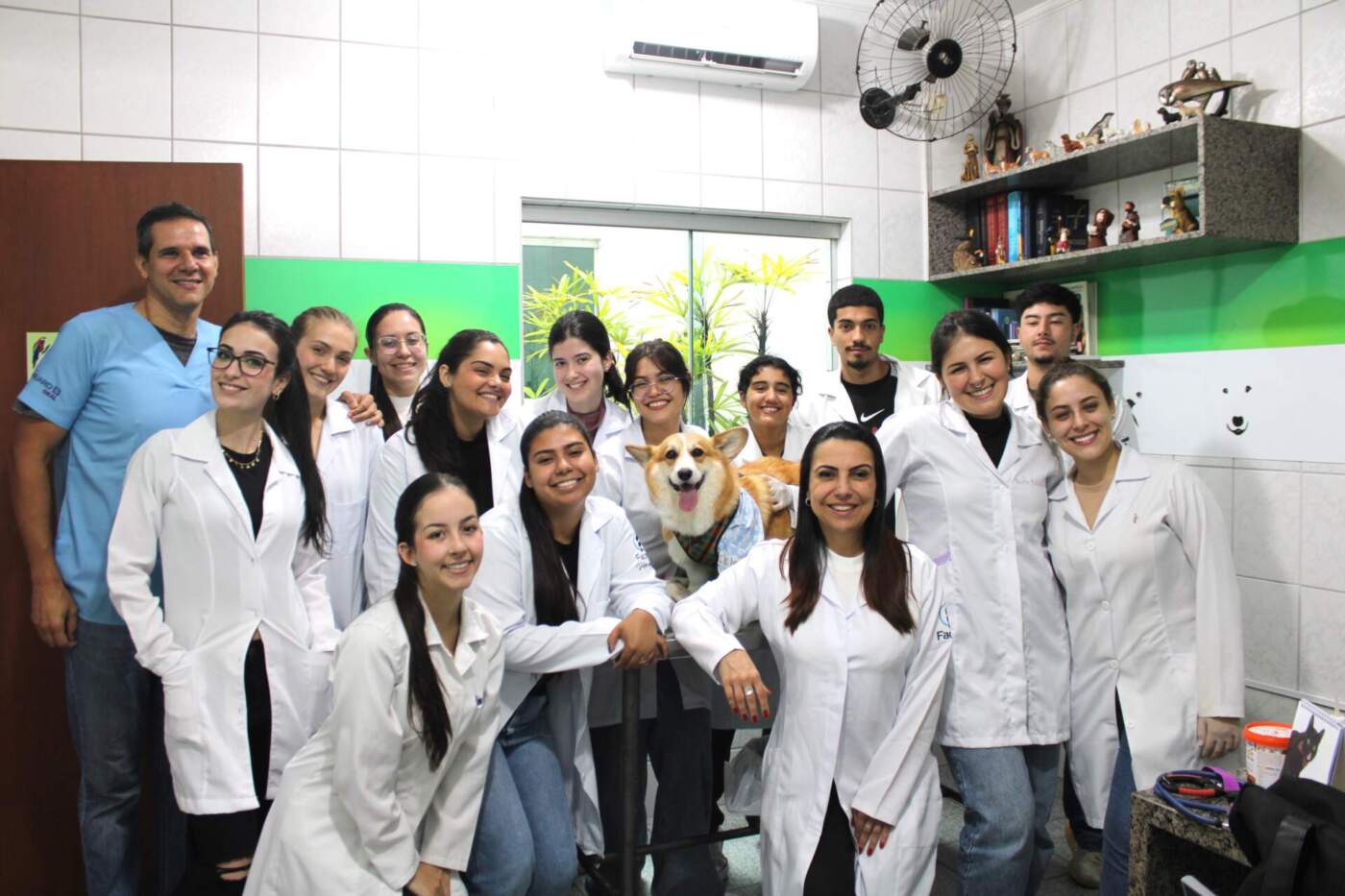 Aprendizado, cuidado e amor pelos animais: vivência prática de Medicina Veterinária na Facens