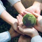 Prêmio Educador Sustentável 2025 UniFacens: veja os contemplados!