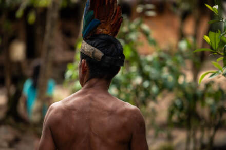 Povos Indígenas no Brasil: diversidade que vai além de uma única história