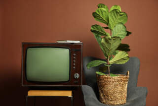 UniFacens é destaque em série especial da TV Tem sobre sustentabilidade nas cidades