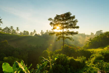 Como a sustentabilidade está transformando todas as profissões